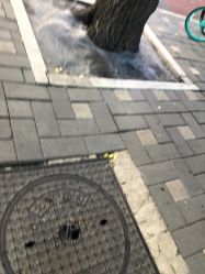 -欧扬医疗美容