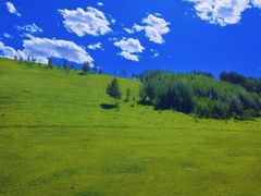 -塞罕坝国家级自然保护区