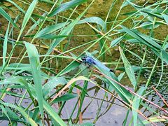 -碓臼峪自然风景区