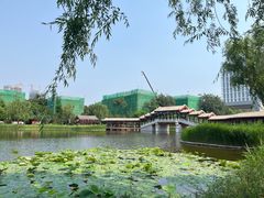 -西海子公园