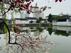 -水绘园