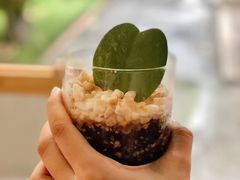 -Poke lemon海鲜波奇饭·柠檬茶(金碧开放小区店)