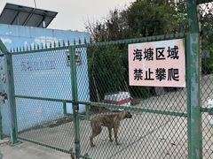 -上海滨江森林公园