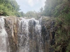 -红山村