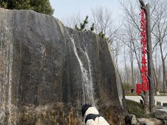 -合肥滨湖国家森林公园