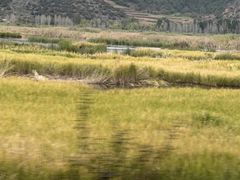 -泸沽湖国家级风景名胜区走婚桥