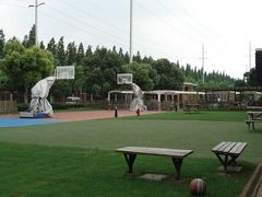 -上海德威外籍人员子女学校(浦东校区)