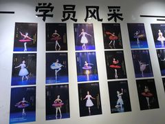 -中央芭蕾舞团·中芭艺蕾(酒仙桥明星校区)