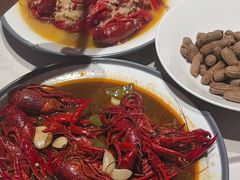 -杨氏青龙虾·羊蝎子(托乐嘉店)