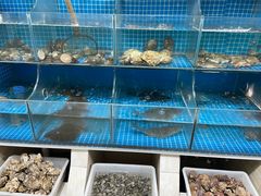 -宾朋海鲜饭庄(兴海路店)