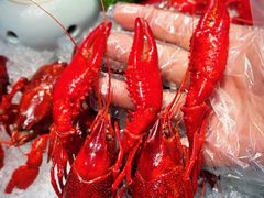 -舞虾小说.涮肉.烧烤(国顺东路店)