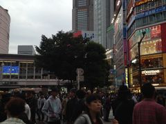 -涩谷区