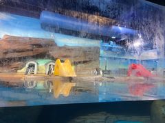 -海合安武汉极地海洋公园