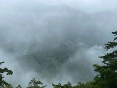 -陕西省红河谷森林公园