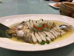 鱈龙鱼-汤记传菜(秀浦路店)