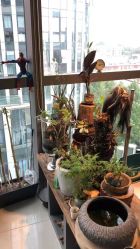 -周忆刺青原创设计定制