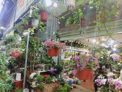 -循礼门鲜花花市(武汉循礼门店)