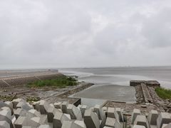 -奉贤海滩