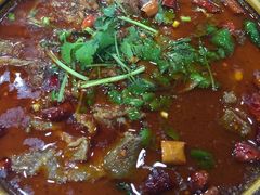 -乡土特色.冷锅鱼.牦牛肉汤锅