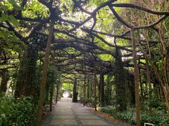 -广西壮族自治区药用植物园