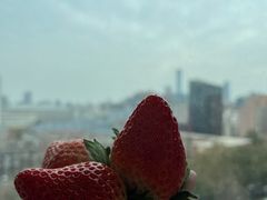 -老坑记·香港经典粤菜馆