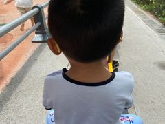 -枫香湖儿童公园