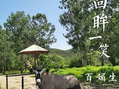 -大连森林动物园