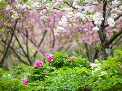 -江南大学(蠡湖校区)