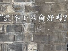 -两棵枇杷树