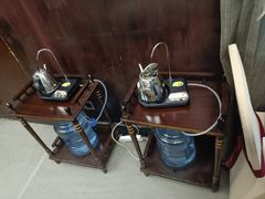 -南珠宫酒店-茶餐厅