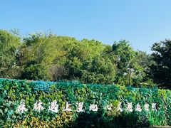 -同里国家湿地公园