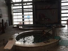 -南宫温泉水世界