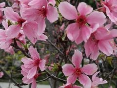 -文华公园(禅城区)