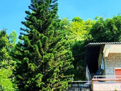 -广州市帽峰山景区
