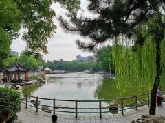 -莲湖公园