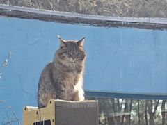 -青藏高原野生动物园