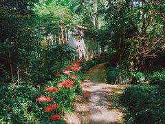 -杭州植物园