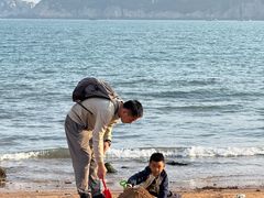 -枸杞岛