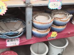 -龙大花卉苗木市场