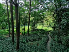 -人民公园(罗湖区)