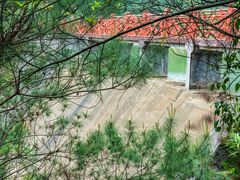 -广州白江湖森林公园