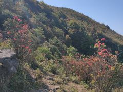 -广东天露山旅游度假区