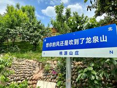 -桃源山庄·水蜜桃采摘·柴火鸡·烧烤团建(龙泉山店)