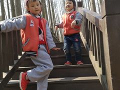 -南京金牛湖风景区