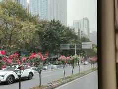 -观音桥步行街