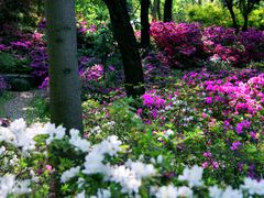 -上海滨江森林公园