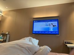 -汉庭(成都九眼桥牛王庙地铁站店)