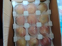 -堤口果品批发市场