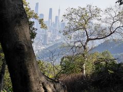 -广州市白云山风景名胜区