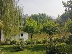 -雁滩公园